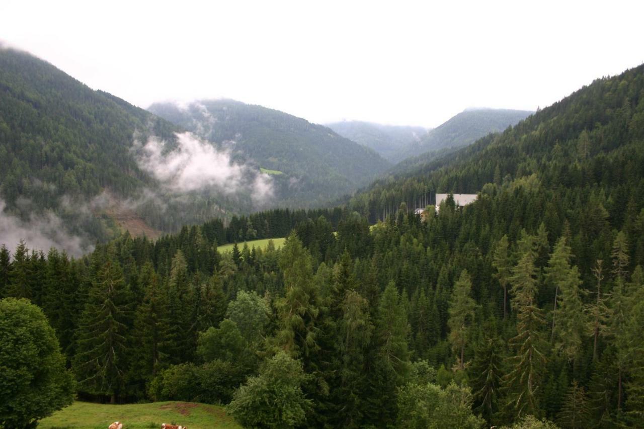 Fewo Nr. 15 Haus Konradgut Sankt Lorenzen ob Murau Luaran gambar